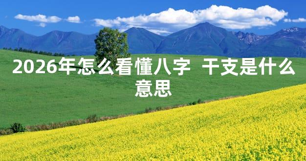 2026年怎么看懂八字  干支是什么意思